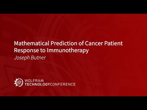 Mathematical Prediction of Cancer Patient Response to Immunotherapy