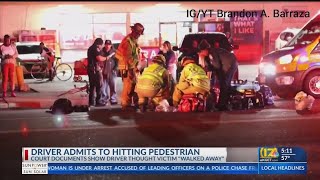 Hit-and-run suspect, 70, thought fatally injured pedestrian walked away: report