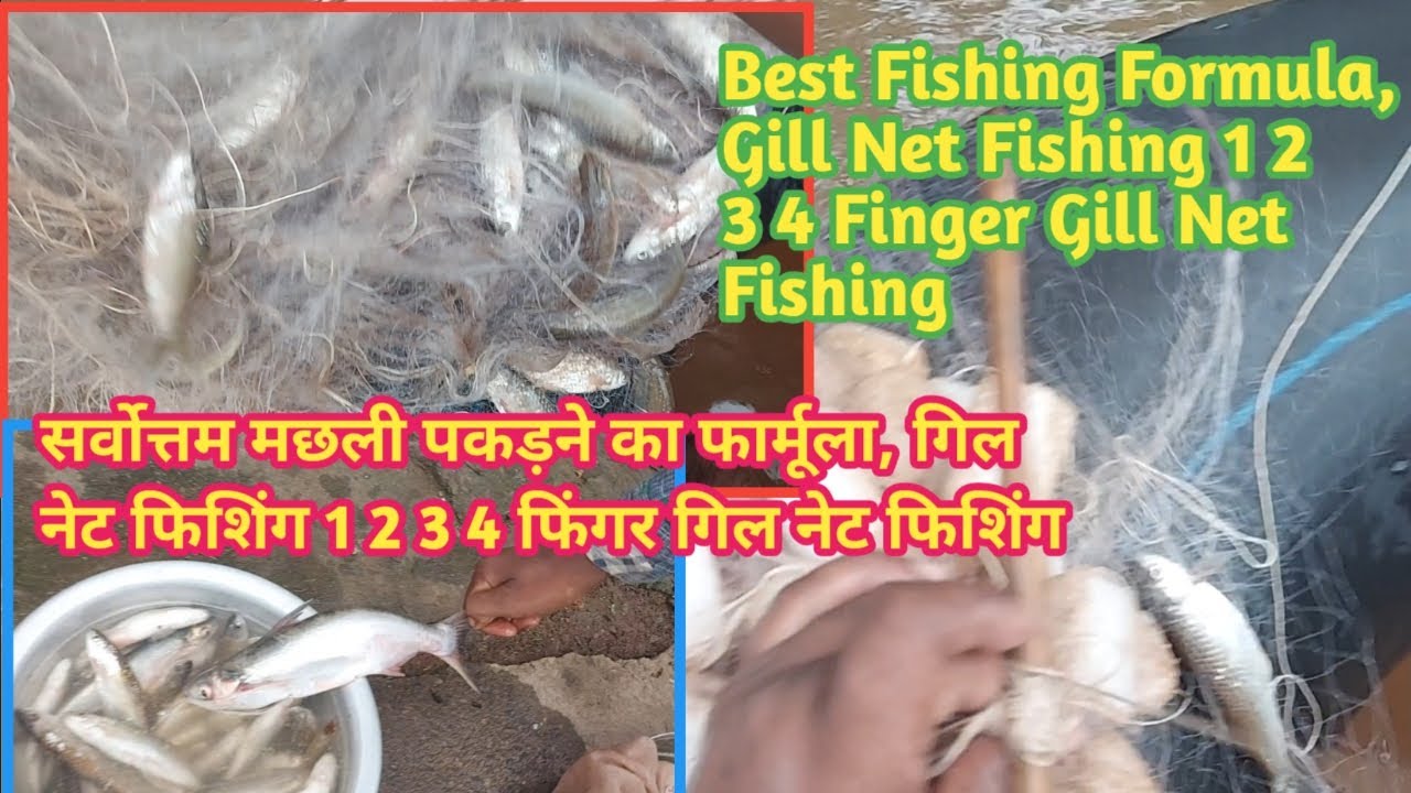 ,,BEST FISHING FORMULA//GILL NET FISHING//1/2/3/4 finger gill net