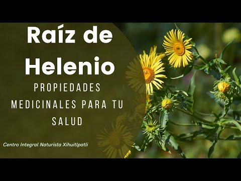 Video: Cultivo De Helenio