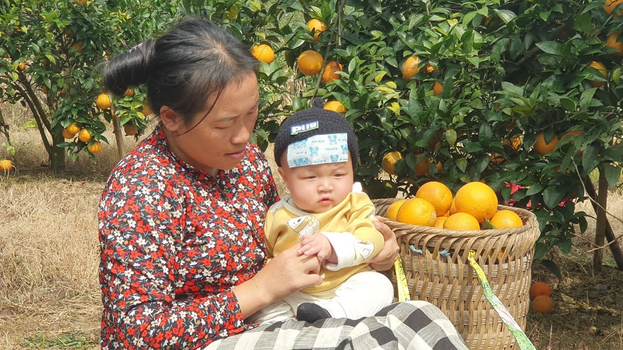 Добрый старик помог матери-одиночке Сяо Май построить новое будущее.