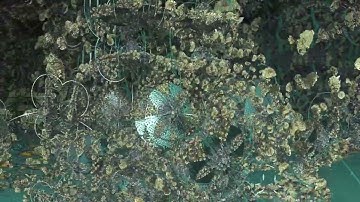 Flight through the fractal world.