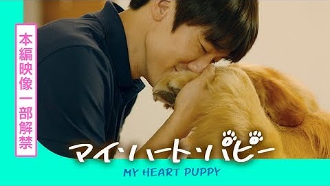 映画『マイ・ハート・パピー』本編映像一部解禁！