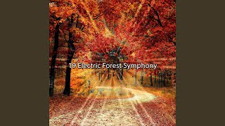 Hidden Harmony