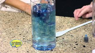 Back to School Science - Cool Experiments