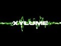 Xylume Hip Hop R&B Music Video Montage 7