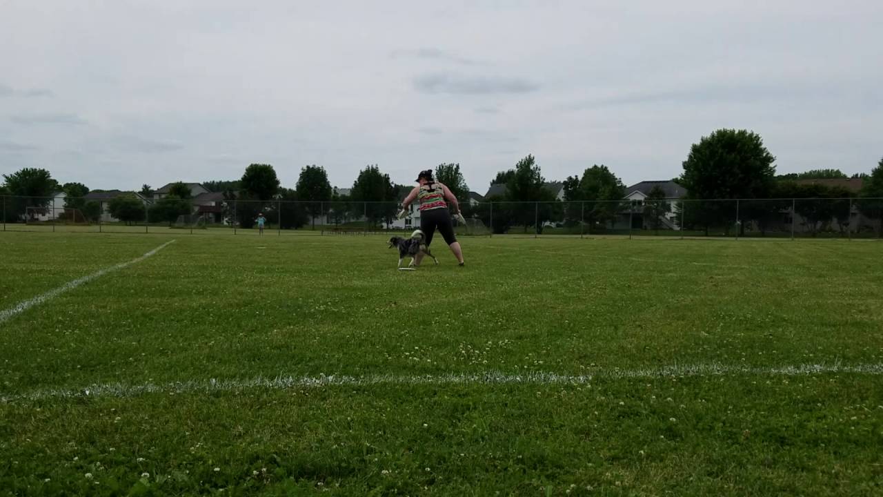 USDDN 2016 June Dog Jam YouTube