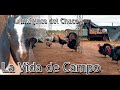 LA VIDA DE CAMPO 🌱🐖🌾🦙 | PROVINCIA DEL CHACO | SONIDO NORTE