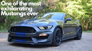 GT350 overview after 6 months of ownership. (It's really as good as you think!)