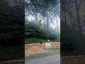 Winged Tower full transformation from nothing to wonder #beforeandafter #transformation #shorts