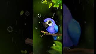 Black rainbows wildlife parrot rain Animated