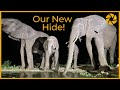 Our new wildlife photography hide in botswana