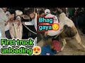 Bachra bhag gaya first truck unloading 2024