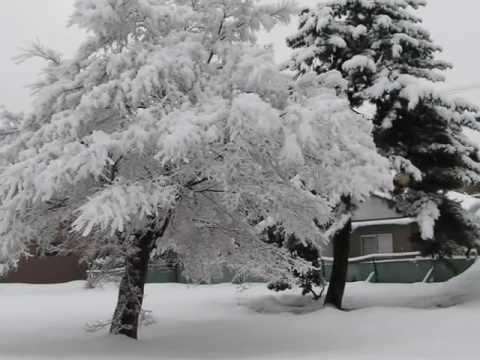 雪が降る 尾崎紀世彦 （アダモ作曲） Tombe la neige Sarbatore Adamo 2 拷貝