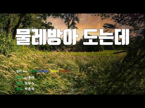 [은성 반주기] 물레방아도는데 - 나훈아