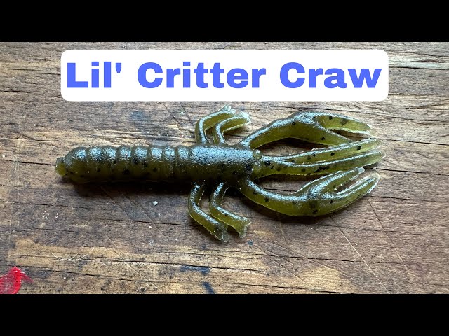 How To Fish And Rig A Lil' Critter Craw… 