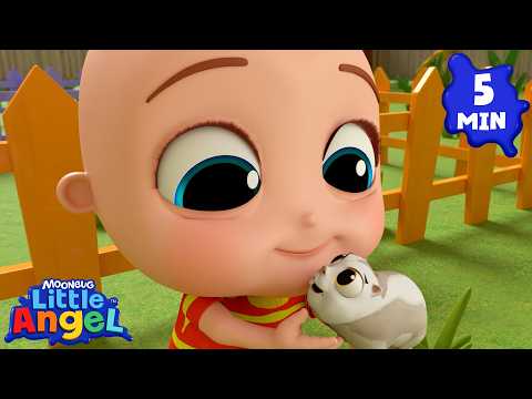 Taking Care of a Class Pet | Educational Pet Care Songs for Toddlers