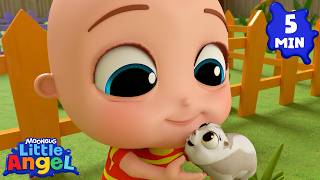 taking care class pet educational pet care songs toddlers