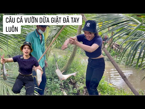 Video Câu cá trong vườn dừa Cô Gái Quê trúng lớn giật đã tay... - youtube