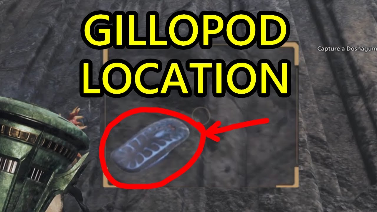 MHW Gillopod Location. Where to Find Gillopod for Gillopod Quest + How to Capture Gillopod