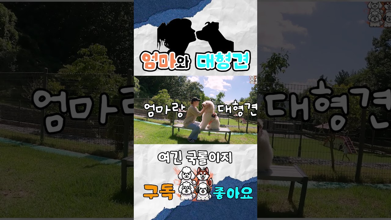 엄마와 대형견 
