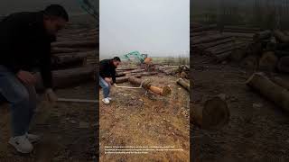 This BIZARRE Chainsaw Hack Will Make You THROW Away Your Old Sawhorse! 🤯