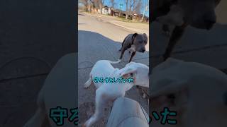 まさかの理由があった