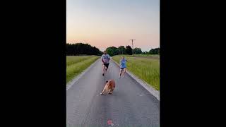 I Will Share A Collection With You Every Day.