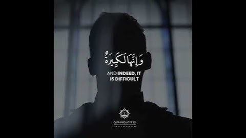 راحة نفسية 💛 أجمل حالات واتس اب قران كريم بصوت شريف مصطفى || تلاوة هادئة تريح القلب مقاطع قرآن قصيرة