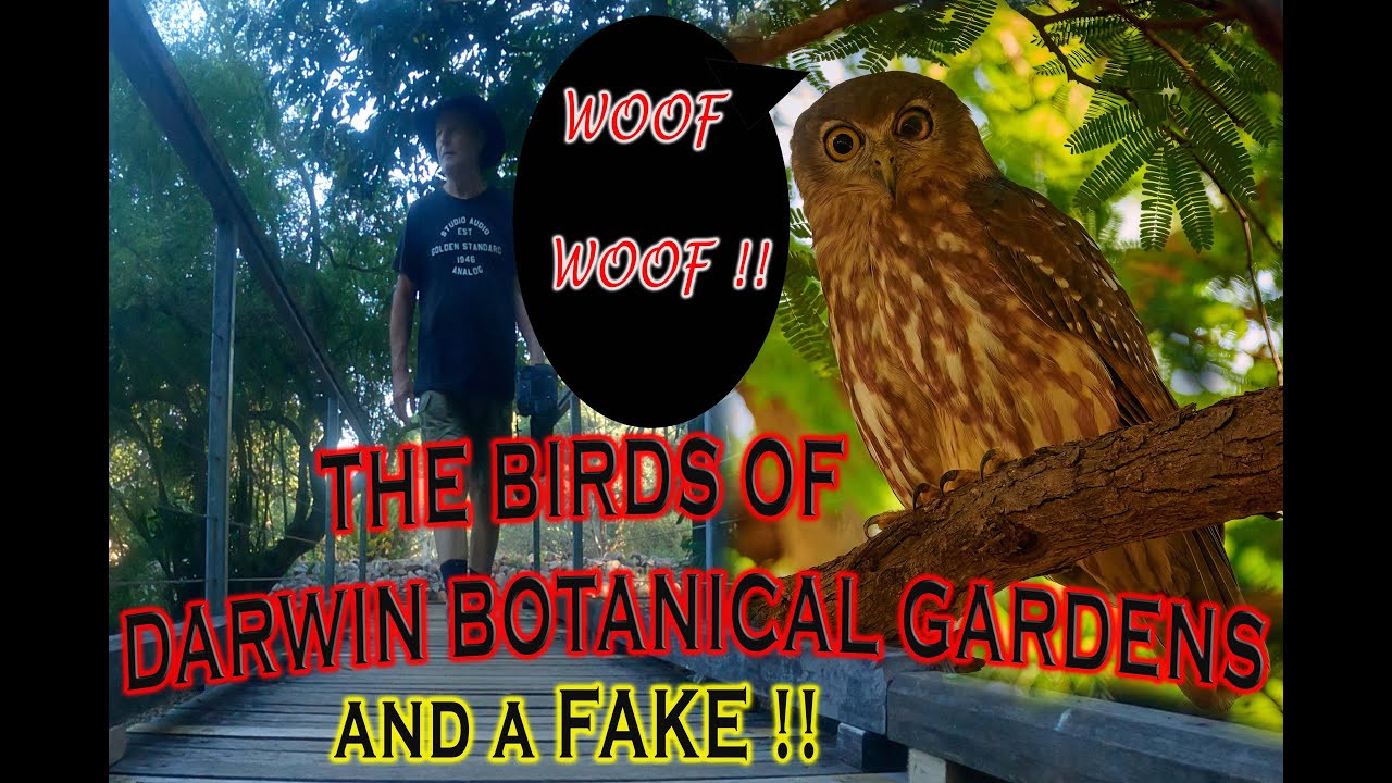 EXPLORE Darwin Botanical Gardens