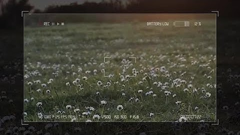 Digital Camera Recording Screen Pack Stock Motion Graphics