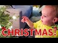 BABY&#39;S SWEET REACTION TO CHRISTMAS!