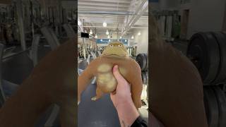 Squishy Monkey Goes Splat in the Gym 🙉