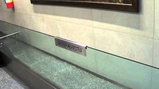 Jaideep Mehrotra Artwork at Mumbai International Airport