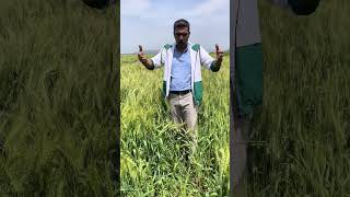 Kendini Yere Göğe Sığdımayanlar Elbet Sığacağı Bir Mekan Vardır 👍￼