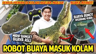 Download Lagu ROBOT BUAYA MASUK KOLAM NGERI BANGET! BUAYA REMOT MALAH DIKEJAR HEWAN DI KOLAM! MIRIP BUAYA ASLI! MP3