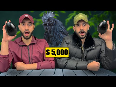 صيد وطبخ أغلى فرخة في العالم لكن اتصدمنا 