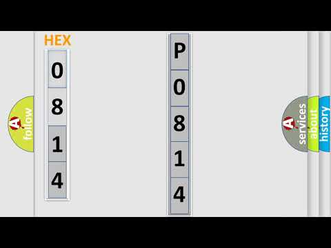 DTC Fiat P0814 Short Explanation