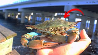 Using Big Baits For Bridge Monsters(New PB)