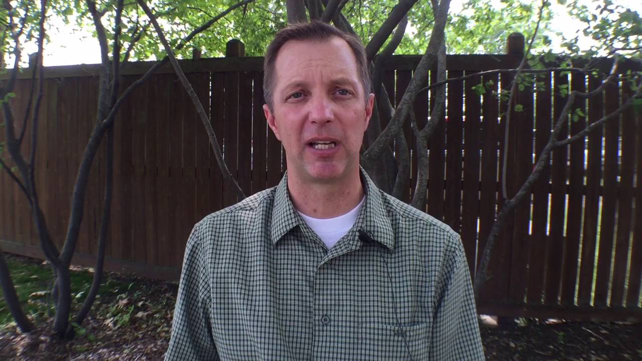 Brett Stuart Shares Global Trends in the Swine Industry