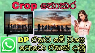 How to set Full profile picture without  crop in whatsapp-ලොකු පොටො එකක් dp එකට දාමු screenshot 3