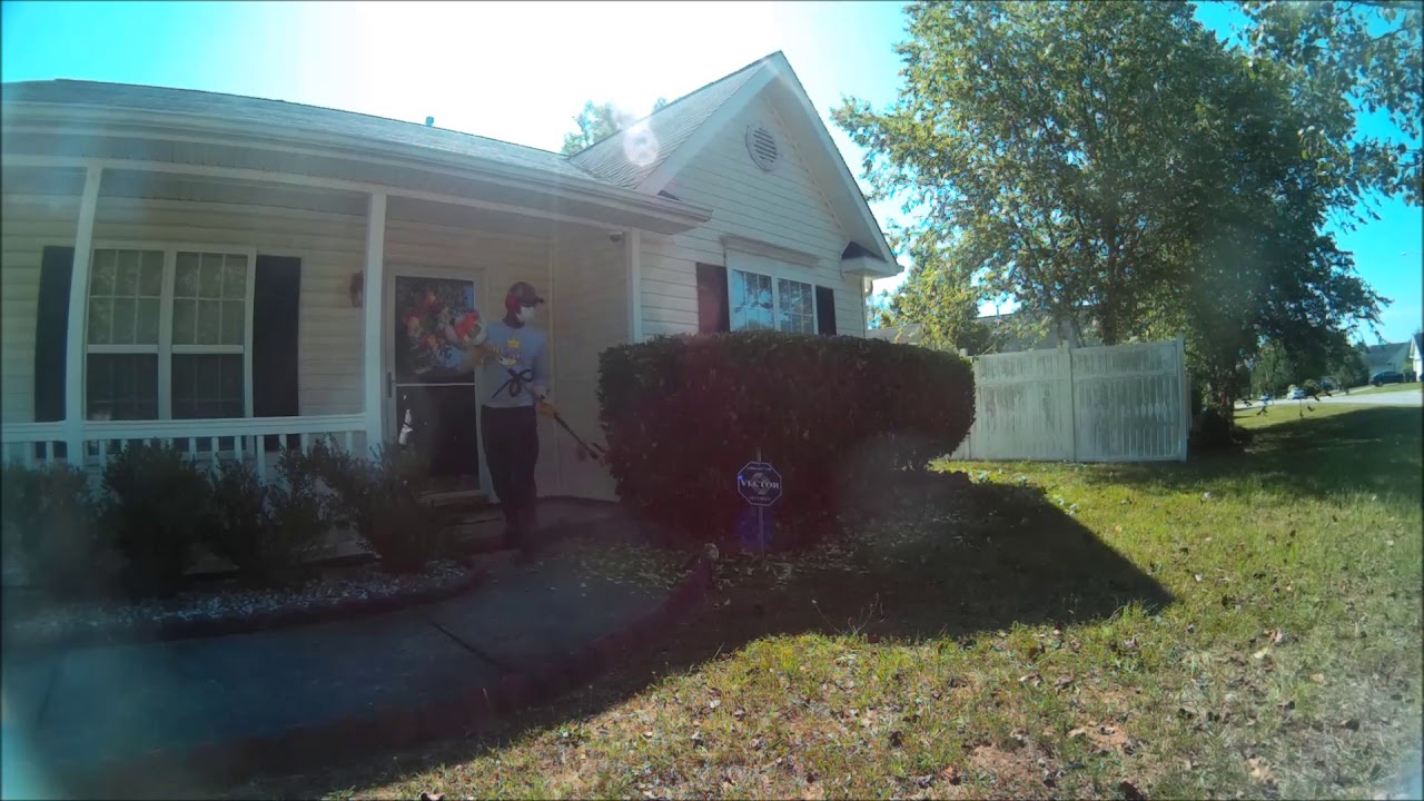 New property, small hedges YouTube