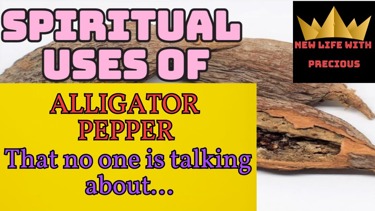 Spiritual Uses Of Alligator Pepper alligator Pepper Spiritual Benefits