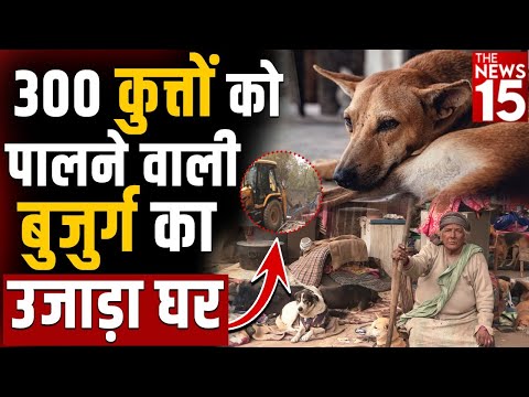 वीडियो: जो लोग अपने कुत्ते के बाद उठाते नहीं हैं वे सदियों से हमें परेशान कर रहे हैं