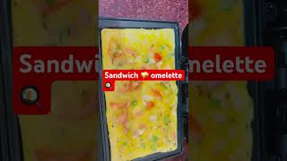 _#omelette sandwich maker me #viralvideo #food