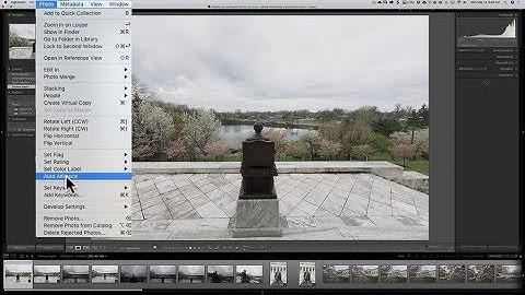 Mastering Lightroom Classic CC - 3: Cull & Organize