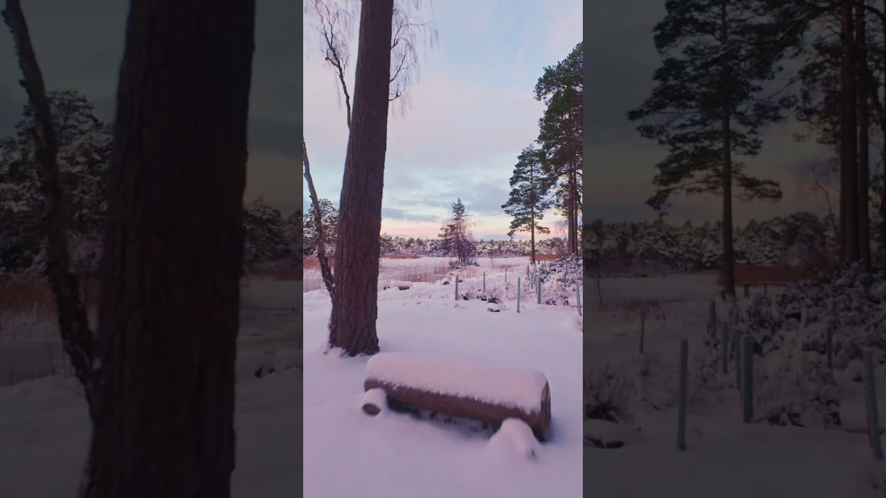 Snow covered Loch in Scotland  #scotland#snow #frozen