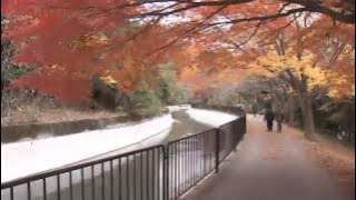 Channel Japan 2013 #41