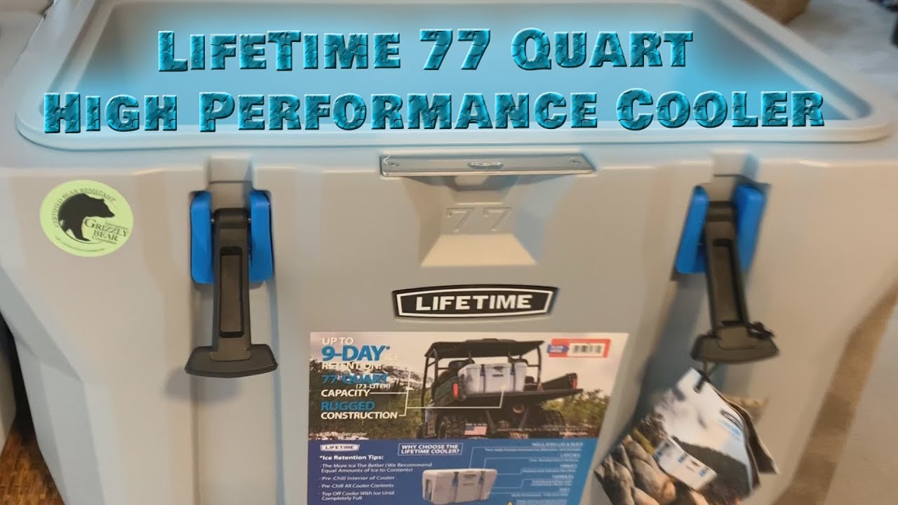 77 quart lifetime cooler