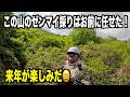 【山菜】新たなゼンマイ採り場の現地調査に行ってきた!2026-05-02(土)武七の山菜採り wildvegetables
